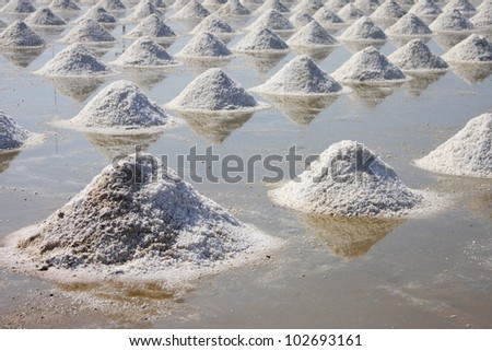 pile of salt in the salt pan at rural area of Thailand