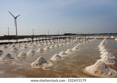 pile of salt in the salt pan at rural area of Thailand