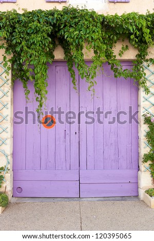 Old wooden garage door, painted in pink and marked by a no-parking sign. The door is surrounded by ivy tendrils