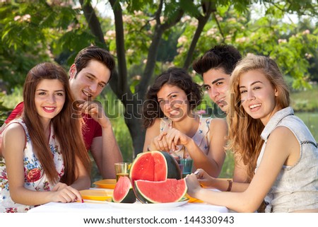 Picnic at the park. Group of friends enjoy a picnic at the park