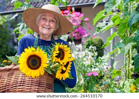 Happy Senior Woman with Brown Hat Carrying Baskets of Fresh Sunflowers at the Garden. Smiling at the Camera.