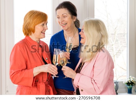 Close up. Three Very Closed Mom Friends Holding Glasses of Wines While Enjoying Their Talk Near the Window.