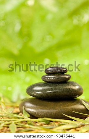 Spa Massage Hot Stones in Natural Green Environment