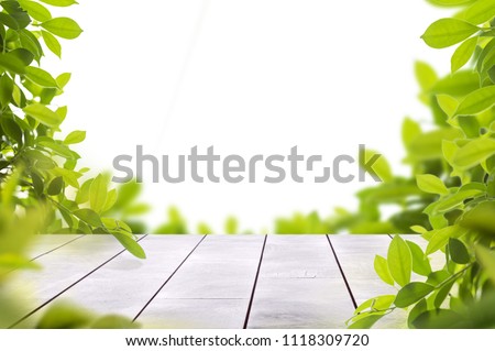 wooden table top with spring green leafs as frame and free space for text