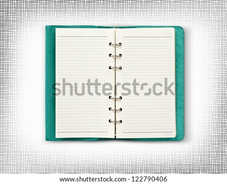 Green leather cover of diary