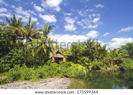 House under the palms