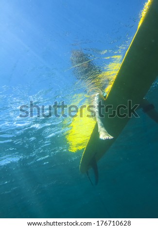 surfer girl.underwater viewing.