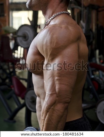 Man working out at the gym, side view of muscular and ripped chest, pecs and arm muscles