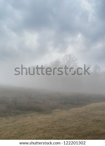 Distant trees in a misty field.