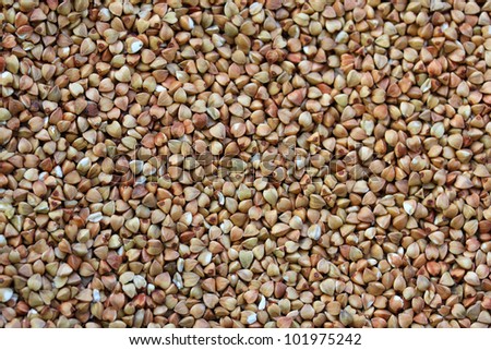 Buckwheat - one of the most useful herbs. It contains the most important nutrients that body needs