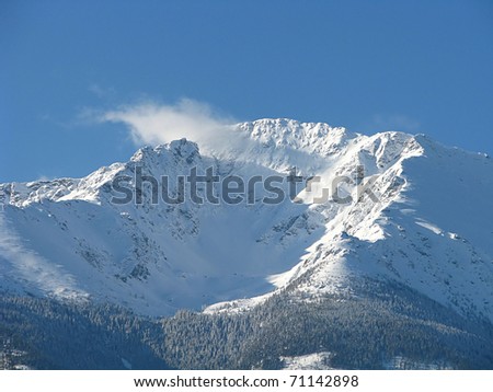 Heavy snow fall over the mountains and forest