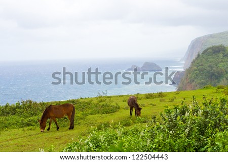 Big Island Hawaii landscape with ocean mist, cost line  and horses