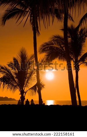 Silhouettes of people watching a colorful sunset on a beach in Big Island, Hawaii, USA