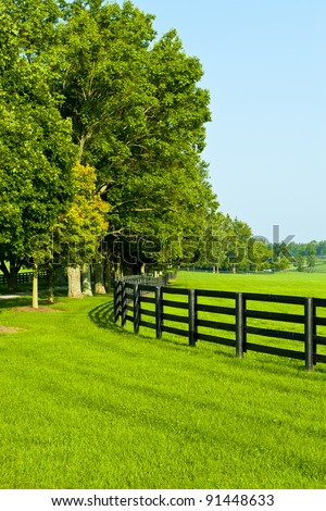 Green pastures of  horse farms. Summer country landscape.