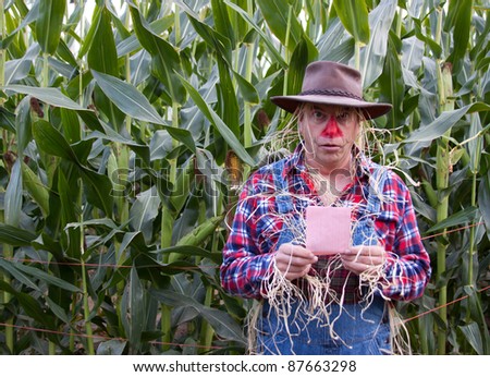 surprised scarecrow has pink slip in corn field