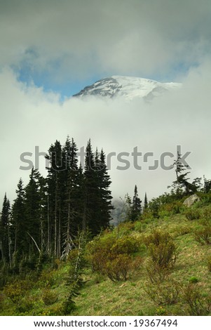 A look at the Mt. Rainier summit through clouds at Mt. Rainier National Park