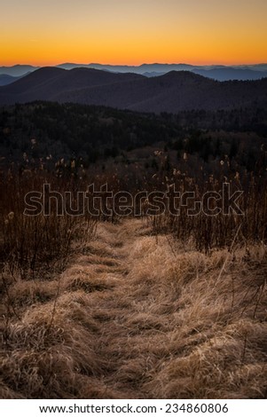 A hiking path leads in to the Middle Prong Wilderness area of the Blue Ridge Mountains of North Carolina.