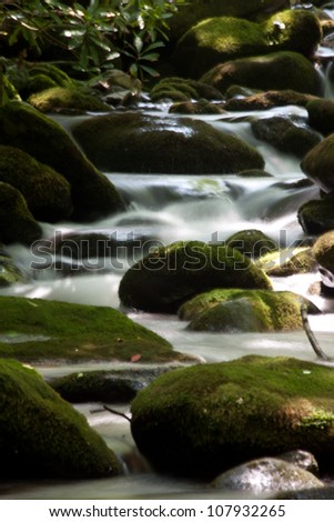 Clean and cold mountain stream, rushing by moss covered rocks, a tourist paradise from the Great Smoky Mountains in Tennessee