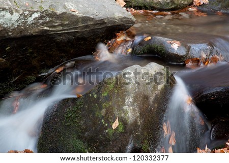 Mountain stream cascading through rocks and stones, with fall leaves scattered on the ground