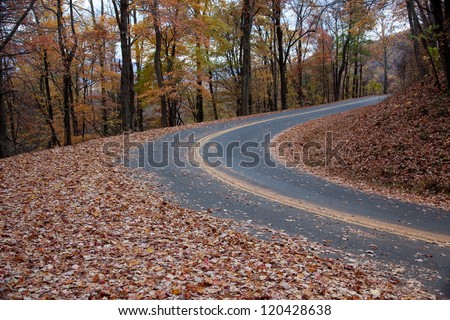 Mountain road curving up a hill with trees in their rich Autumn leaves on either side