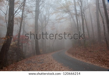 Mountain road running through trees and into a misty, unsure, foggy future