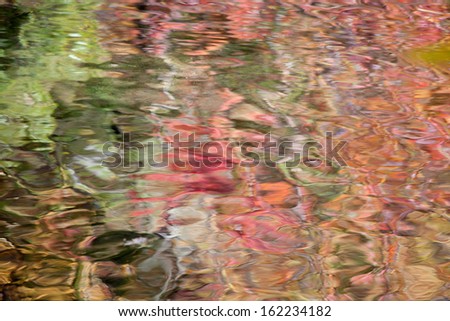 Abstraction of leaves floating in a quiet lake, with reflection of the  trees and their colored leaves