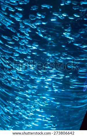 Blue bubbles floating in water