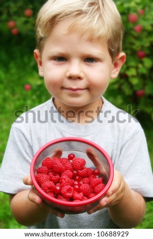 Four year old boy showing freshly picked raspberries and red currants with raspberry plants in the background. Shallow DOF with focus on fruits.
