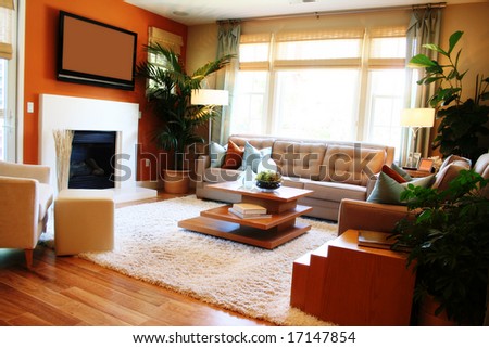 Warm, sunny living room with fireplace, TV and large window