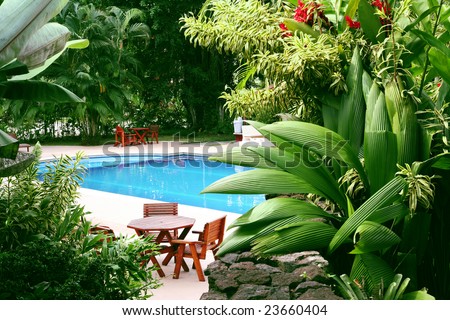 Swimming pool surrounded by lush tropical plants