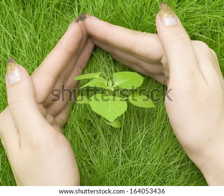 hand protecting plant in grass