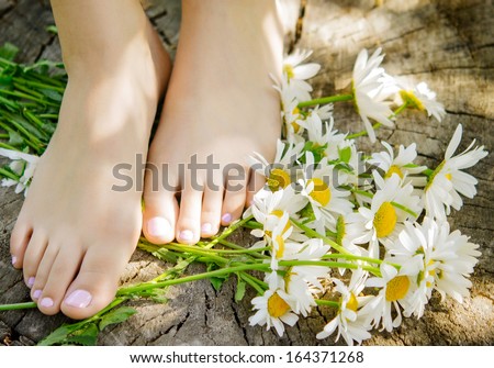 Close Up Of Woman Feet With Camomiles