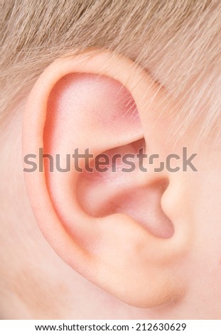 close up of child ear