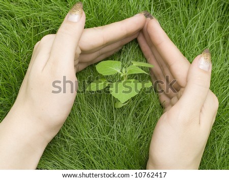 hand protecting plant in grass