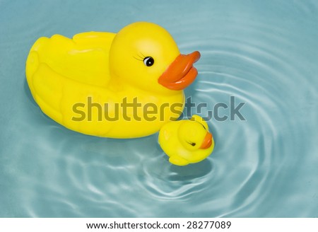 rubber yellow ducks floating on water