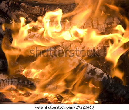 close up view of burning firewood