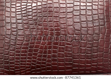 close up of reptile leather