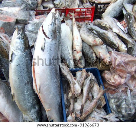 frozen fish on a market