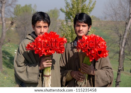 JAMMU AND KASHMIR, INDIA - APRIL 15: Two Kashmiri boys sell beautiful wild tulips to the tourists on April 15, 2012 on the road from Srinagar to Pahalgam, Jammu and Kashmir- India.