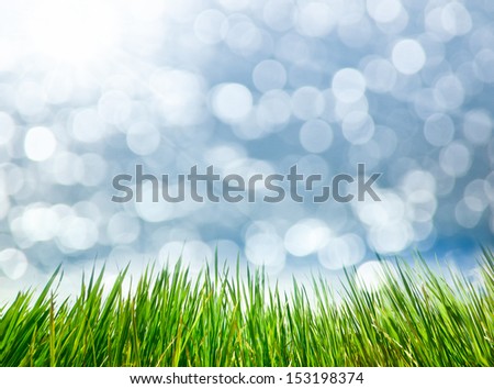 Selective focus green grass background with  sun spot.