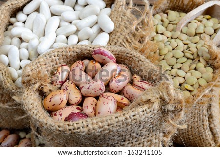 various legumes which lentils,red bean white bean