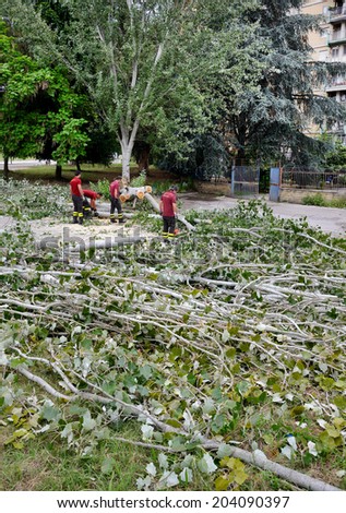 NAPLES, ITALY- JULY 10: After collapse of large trees, due to the bad weather, firefighters remove the tree that blocks the passage on the roads on  july 10, 2014 in Naples, Italy.