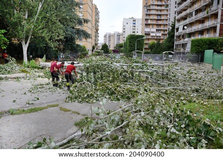 NAPLES, ITALY- JULY 10: After collapse of large trees, due to the bad weather, firefighters remove the tree that blocks the passage on the roads on july 10, 2014 in Naples, Italy.