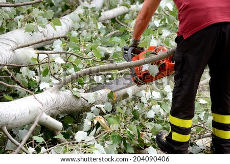 NAPLES, ITALY- JULY 10: After collapse of large trees, due to the bad weather, firefighters remove the tree that blocks the passage on the roads on  july 10, 2014 in Naples, Italy.