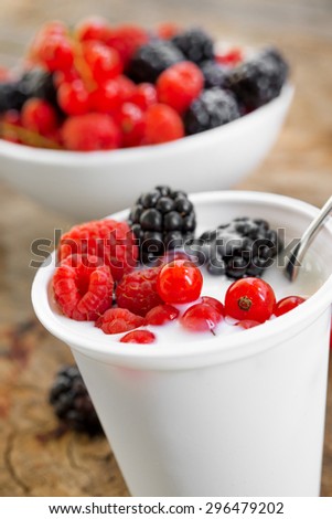 low-fat plain yogurt creamy wild berries flavor