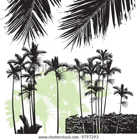 Palm Trees 01 Stock Vector Illustration 9797293 : Shutterstock