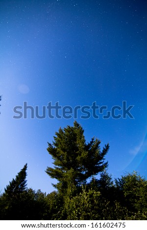 Night time and Full Moon in the forest with Clear Sky and Stars