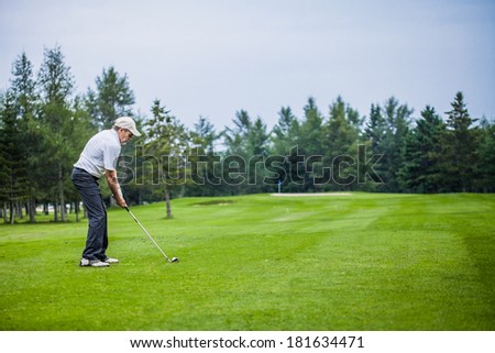 Mature Golfer on a Golf Course (ready to swing)