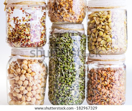 Stack of Different Sprouting Seeds Growing in a Glass Jar Isolated on White Background