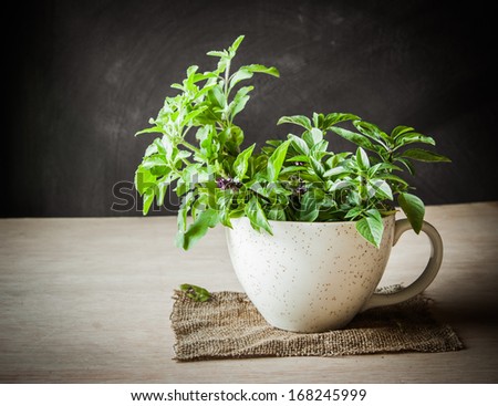 Holy Basil in the cup